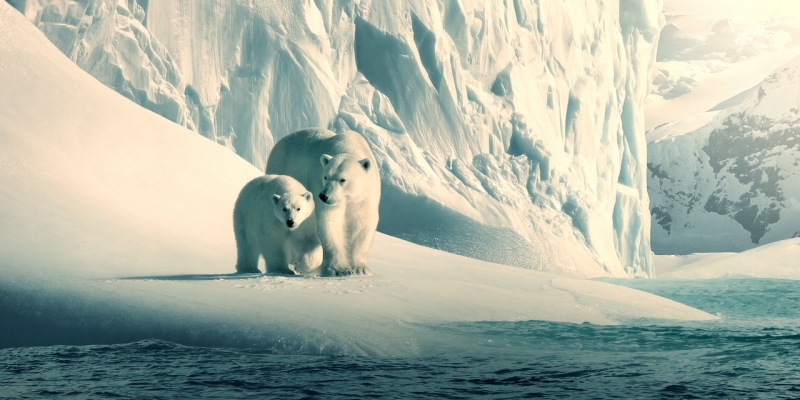 Netflix wydaje filmy dokumentalne w celach edukacyjnych